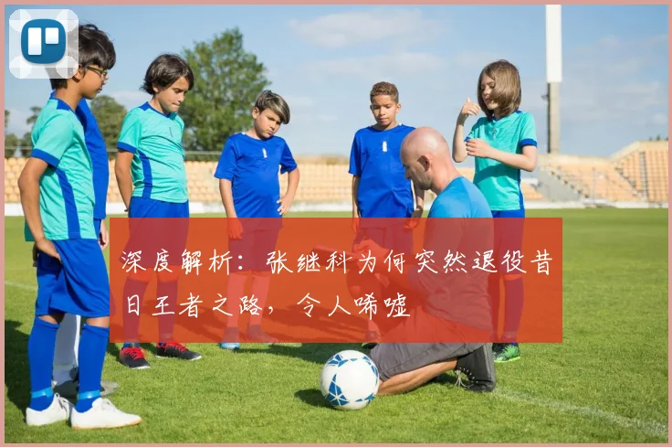 深度解析：张继科为何突然退役昔日王者之路，令人唏嘘