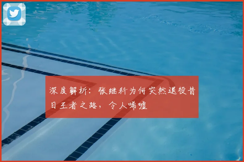 深度解析：张继科为何突然退役昔日王者之路，令人唏嘘